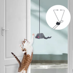 Door Cat Toy