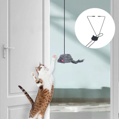 Door Cat Toy