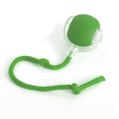 Smart Cat Toy