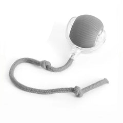 Smart Cat Toy