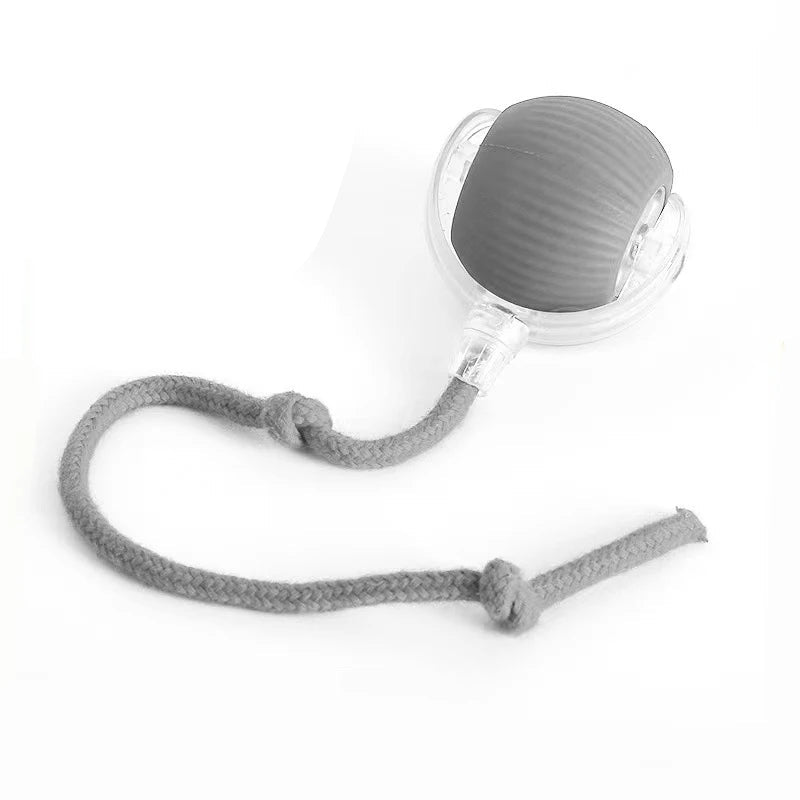 Smart Cat Toy