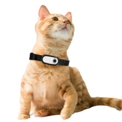 Pet Camera Collar